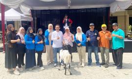 Warga Karanggumuk Beruntung Bawa Hadiah Kambing Hitam Putih