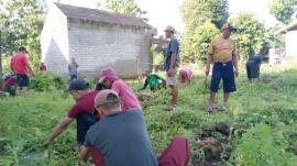 Wanti - Wanti Musim Hujan, Siti Salami Ajak Warga Cegah Demam Berdarah dan Chikungunya